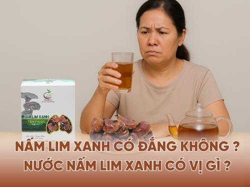 Nấm Lim Xanh có đắng không? Nước nấm Lim Xanh có vị gì?